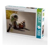 CALVENDO Puzzle Quand Le Bus Arrive-t-il Enfin ? 1000 Pieces 64 x 48 cm from Christiane Calmbacher
