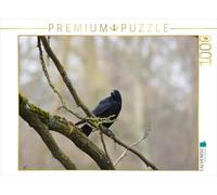 CALVENDO Puzzle Rabe Auf einem AST 1000 Teile Puzzle quer 1000 Pieces 64 x 48 cm from Kattobello