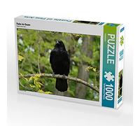 CALVENDO Puzzle Rabe im Baum 1000 Teile Puzzle quer 1000 Pieces 64 x 48 cm from Kattobello
