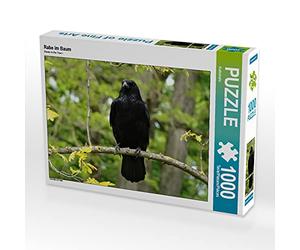 CALVENDO Puzzle Rabe im Baum 1000 Teile Puzzle quer 1000 Pieces 64 x 48 cm from Kattobello