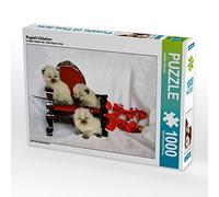 CALVENDO Puzzle Ragdoll Kätzchen 1000 Teile Puzzle quer 1000 Pieces 64 x 48 cm from Jennifer Chrystal