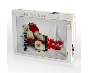 CALVENDO Puzzle Ragdoll Kätzchen 1000 Teile Puzzle quer 1000 Pieces 64 x 48 cm from Jennifer Chrystal