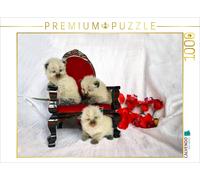 CALVENDO Puzzle Ragdoll Kätzchen 1000 Teile Puzzle quer 1000 Pieces 64 x 48 cm from Jennifer Chrystal