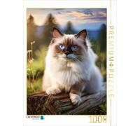 CALVENDO Puzzle Ragdoll lying on a tree trunk in the meadow | 1000 pieces, finis