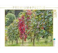 CALVENDO Puzzle Raisins Rouges en Automne 1000 Pieces 64 x 48 cm from Thomas Leonhardy