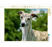 CALVENDO Puzzle Rapide comme Le Vent - Whippet 1000 Pieces 64 x 48 cm from Sista-Tierfoto