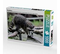 CALVENDO Puzzle Raton Laveur 1000 Pieces 64 x 48 cm from Arno Klatt