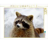 CALVENDO Puzzle Raton Laveur dans la Neige 1000 Pieces 64 x 48 cm from Antje Lindert-Rottke