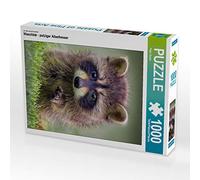 CALVENDO Puzzle Raton Laveur - Mignon Omnivore 1000 Pieces 48 x 64 cm from Peter Roder