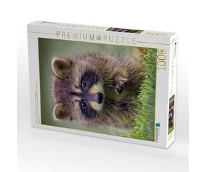 CALVENDO Puzzle Raton Laveur - Mignon Omnivore 1000 Pieces 48 x 64 cm from Peter Roder