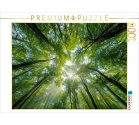 CALVENDO Puzzle Rays of sunlight fall through the dense canopy of a summer fores
