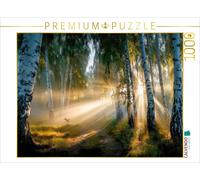 CALVENDO Puzzle Rays of sunlight penetrate the birch forest - the day begins wit