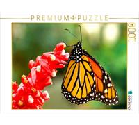 CALVENDO Puzzle Record-holder for migration distance - The Monarch butterfly | 1