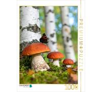 CALVENDO Puzzle Red-capped mushrooms and butterfly | 1000 pieces, finished size