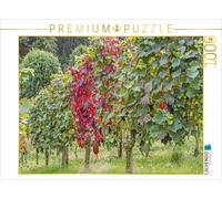 CALVENDO Puzzle Raisins Rouges en Automne 1000 Pieces 64 x 48 cm from Thomas Leonhardy