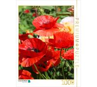 CALVENDO Puzzle Red poppy in the garden | 1000 pieces, finished size 25.2 × 18.9
