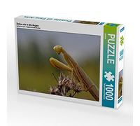 CALVENDO Puzzle Regarde-Moi dans Les Yeux 1000 Pieces 64 x 48 cm from juehust