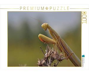 CALVENDO Puzzle Regarde-Moi dans Les Yeux 1000 Pieces 64 x 48 cm from juehust