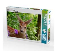 CALVENDO Puzzle Rehkitz mit Lila Blüten 1000 Teile Puzzle quer 1000 Pieces 64 x 48 cm from Sabine Löwer