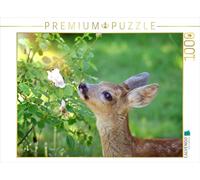 CALVENDO Puzzle Rehkitz mit Rose 1000 Teile Puzzle quer 1000 Pieces 64 x 48 cm from Sabine Löwer
