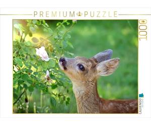 CALVENDO Puzzle Rehkitz mit Rose 1000 Teile Puzzle quer 1000 Pieces 64 x 48 cm from Sabine Löwer
