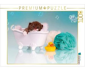 CALVENDO Puzzle Relax - Chaton dans la Baignoire 1000 Pieces 64 x 48 cm from Janina Bürger