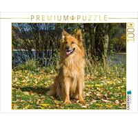 CALVENDO Puzzle Renard du Harz en Automne 1000 Pieces 64 x 48 cm from Sista-Tierfoto