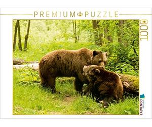 CALVENDO Puzzle Rencontre d'ours à la Saison des amours 1000 Pieces 64 x 48 cm from Photo4emotion.COM