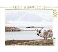 CALVENDO Puzzle Renne de Svalbard 1000 Pieces 64 x 48 cm from Wilfried Martin
