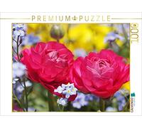 CALVENDO Puzzle Renoncule Rose entourée de Myosotis 1000 Pieces 64 x 48 cm from Gisela Kruse