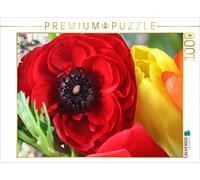 CALVENDO Puzzle Renoncule Rouge Sang 1000 Pieces 64 x 48 cm from Gisela Kruse