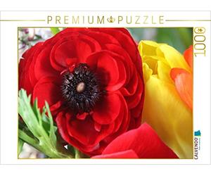 CALVENDO Puzzle Renoncule Rouge Sang 1000 Pieces 64 x 48 cm from Gisela Kruse