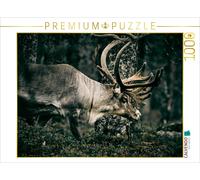 CALVENDO Puzzle Rentiere durchstreifen die Finnmark 1000 Teile Puzzle quer | 100