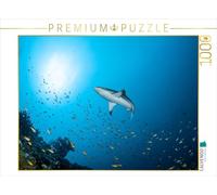 CALVENDO Puzzle Requin Récif Gris | 1000 pièces Taille de la Pose 64 x 48 cm Puzzle Photo pour des Heures heureuses