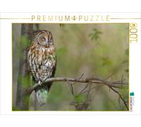 CALVENDO Puzzle Resting tawny owl | 1000 pieces, finished size 25.2 × 18.9 in (6