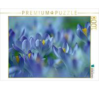 CALVENDO Puzzle Rêve de Printemps en Bleu 1000 Pieces 64 x 48 cm from Susan Michel