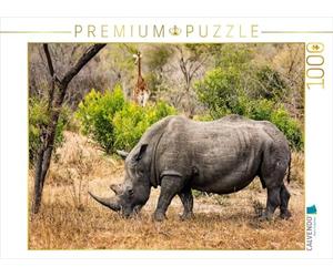 CALVENDO Puzzle Rhino et Girafe 1000 Pieces 64 x 48 cm from Kirsten Karius