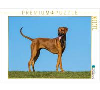 CALVENDO Puzzle Rhodesian Ridgeback | 1000 Teile Lege-Größe 64x48cm Foto-Puzzle
