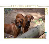 CALVENDO Puzzle Rhodesian Ridgeback | 1000 Teile Lege-Größe 64x48cm Foto-Puzzle