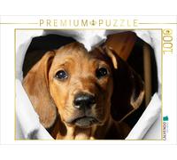 CALVENDO Puzzle Rhodesian Ridgeback - eine Liebe fürs Leben - 1000 Teile Puzzle