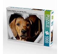 CALVENDO Puzzle Rhodesian Ridgeback - Eine Liebe fürs Leben - 1000 Teile Puzzle quer 1000 Pieces 64 x 48 cm from Dagmar Behrens