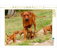 CALVENDO Puzzle Rhodesian Ridgebacks 1000 Pieces 64 x 48 cm from Anke Van Wyk