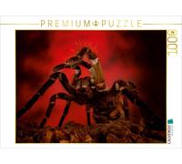 CALVENDO Puzzle Riesen Vogelspinne 1000 Teile Puzzle quer | 1000 pieces, finishe
