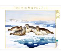 CALVENDO Puzzle Ringed seals with their pups on an ice floe | 1000 pieces, finis