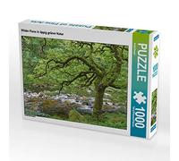 CALVENDO Puzzle Rivière Sauvage dans Une Nature verdoyante 1000 Pieces 64 x 48 cm from Nina Hassa