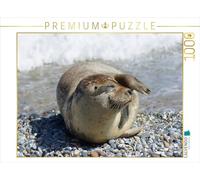 CALVENDO Puzzle Robben Gruß Von der Nordseeküste 1000 Teile Puzzle quer 1000 Pieces 64 x 48 cm from Kattobello