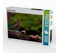 CALVENDO Puzzle Robin dans la forêt 1000 Pieces 64 x 48 cm from Lutz Klapp
