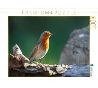 CALVENDO Puzzle Robin dans la lumière du Soleil 1000 Pieces 64 x 48 cm from ropo13