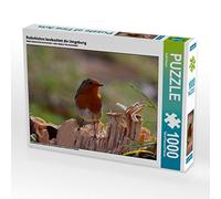 CALVENDO Puzzle Robin Observe Les Environs 1000 Pieces 64 x 48 cm from ropo13
