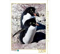 CALVENDO Puzzle Rockhopper Pingouins, Isla de Los Pingüinos, 1000 pièces, Taille de la Ponte, 48 x 64 cm, Photo Puzzle Image par Sabine Reuke
